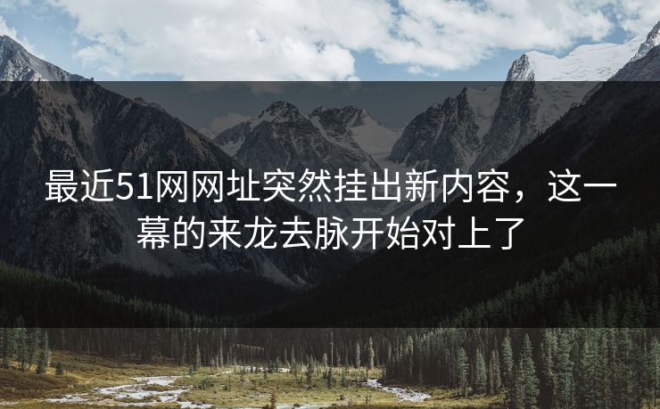 最近51网网址突然挂出新内容,这一幕的来龙去脉开始对上了