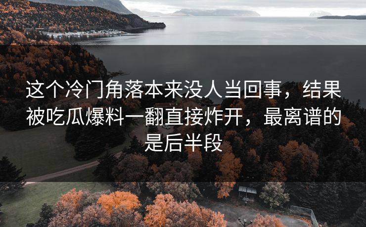 这个冷门角落本来没人当回事,结果被吃瓜爆料一翻直接炸开,最离谱的是后半段